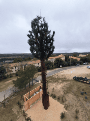 Pylône arbre
